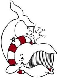 Bezoek Moby Dick