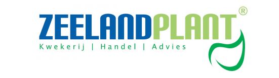 Bezoek Zeelandplant