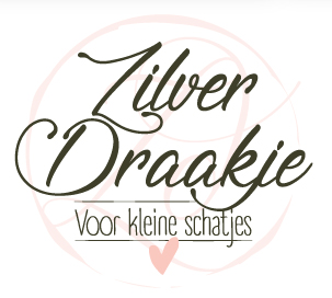 Bezoek Zilverdraakje