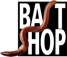 Bezoek Baitshop