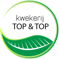 Bezoek Kwekerij Top & Top