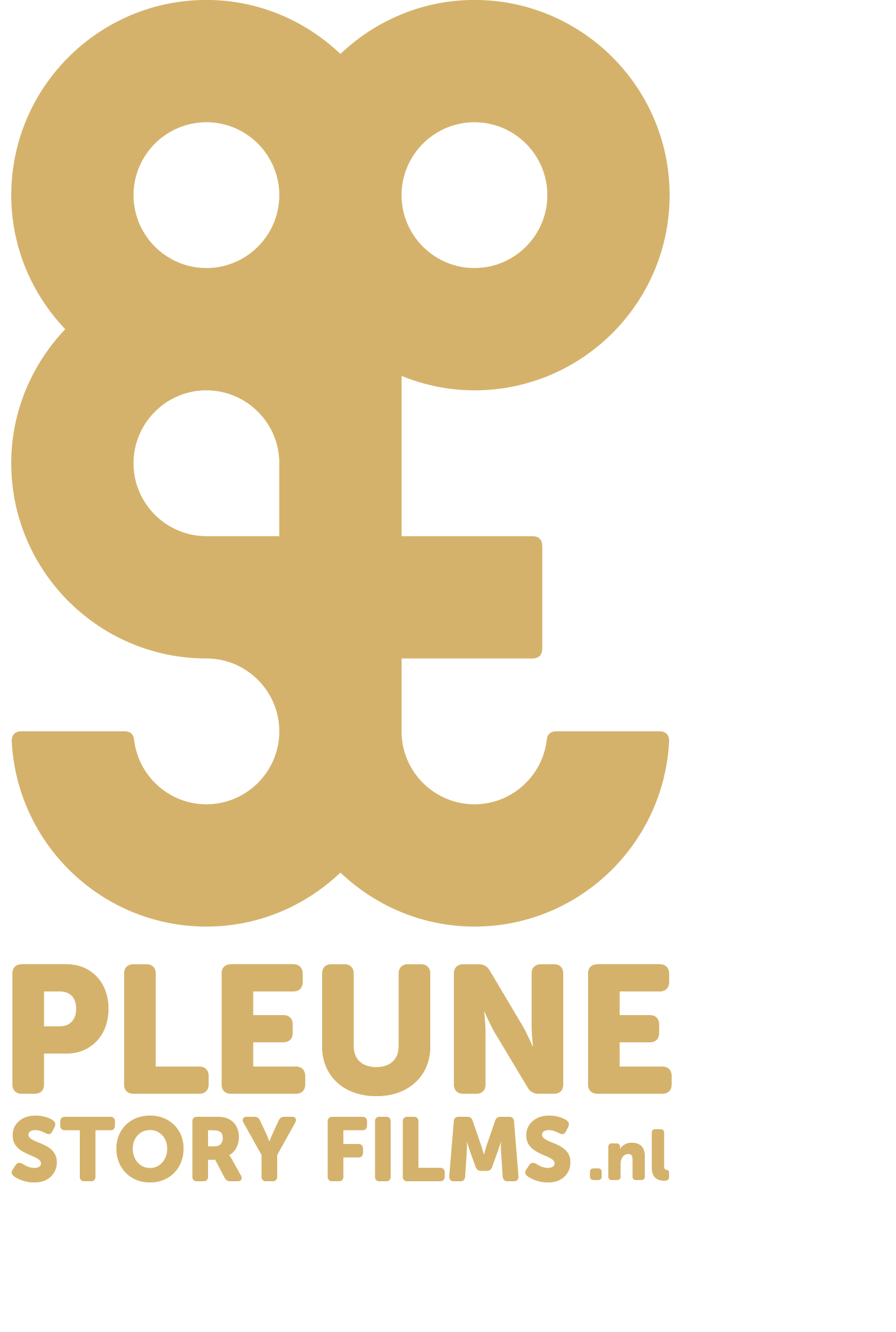 Bezoek Joost Pleune Story Films