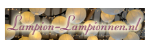 Bezoek Lampion-Lampionnen.nl 
