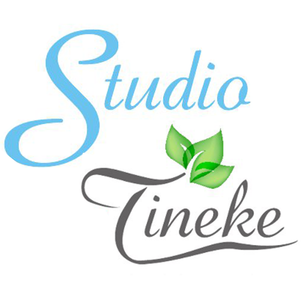 Bezoek Studiotineke.nl