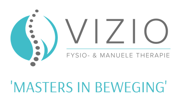 Bezoek Vizio