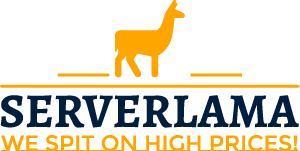 Bezoek Serverlama
